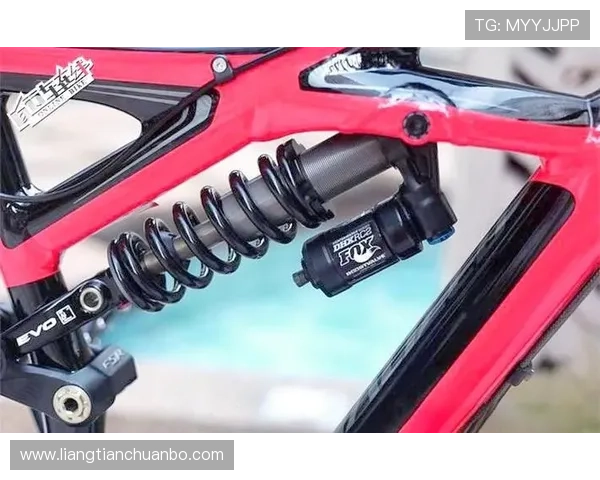 全面解析科学骑行动作要领提升骑行效率与安全技巧指南实用方法详解